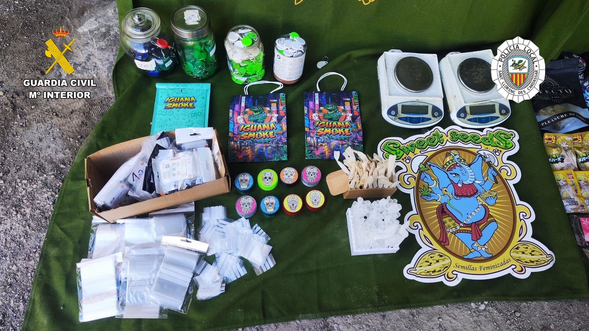 Desmantelan una asociación cannábica en Cala Millor por tráfico de drogas