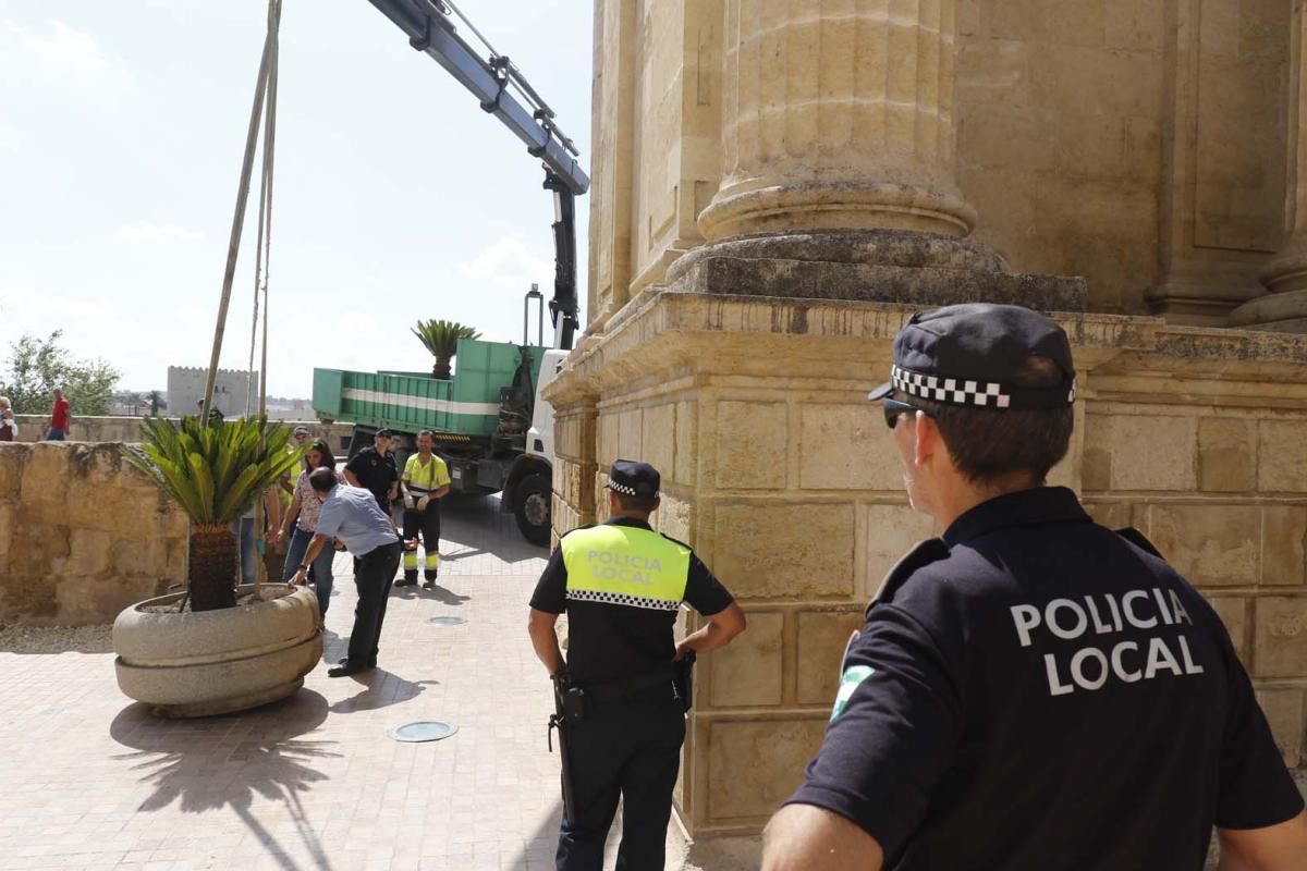 Fotogalería / Bolardos para el puente Romano