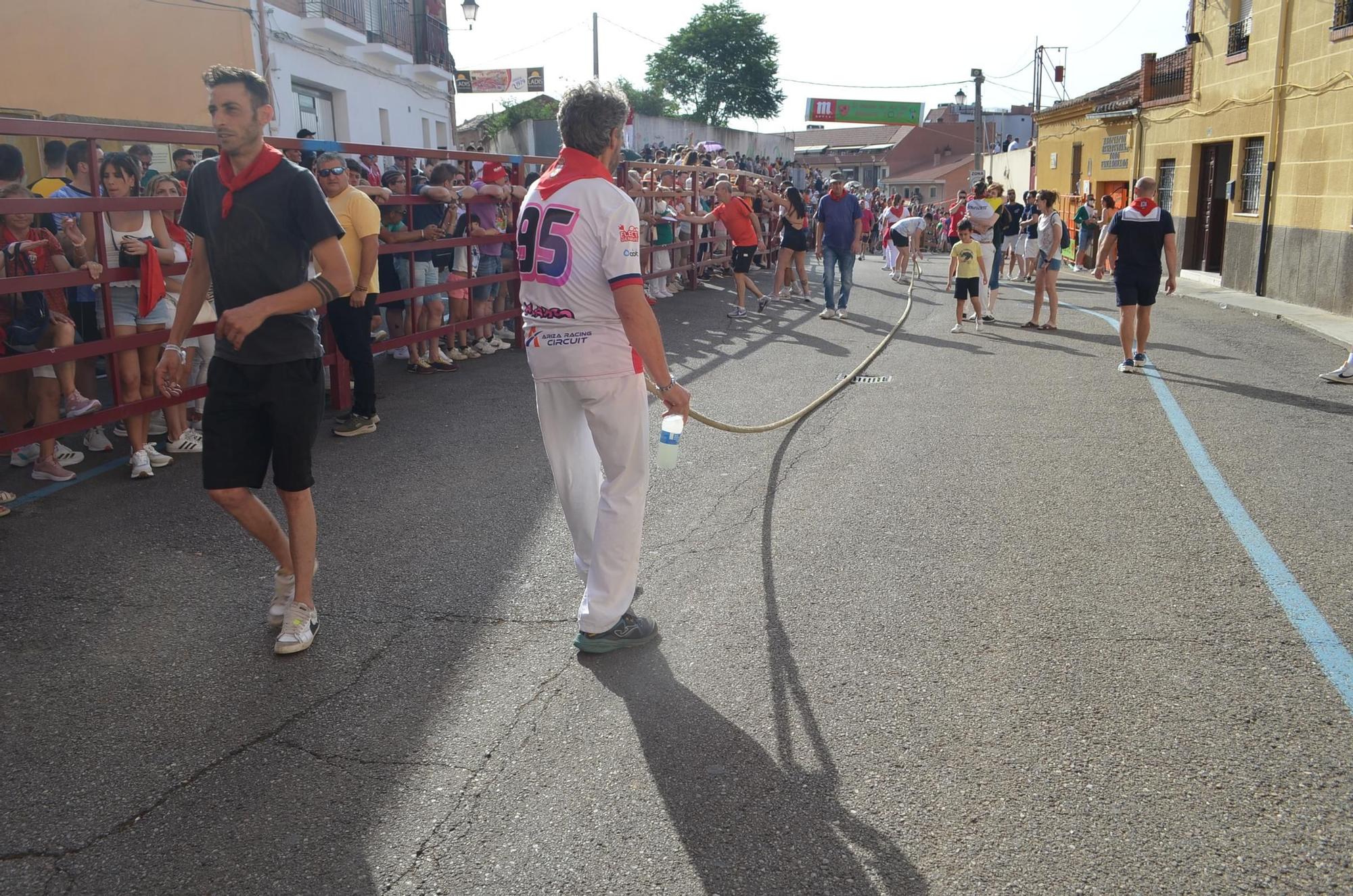 Así ha sido la carrera del torito Espléndido en Benavente