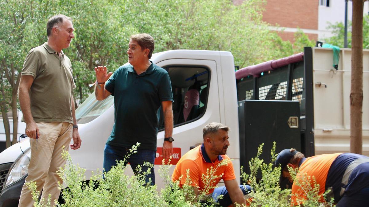 El edil Gonzalo Romero (derecha) durante los trabajos de plantación.
