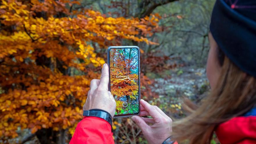 De la tradición a la digitalización: el auge del turismo rural