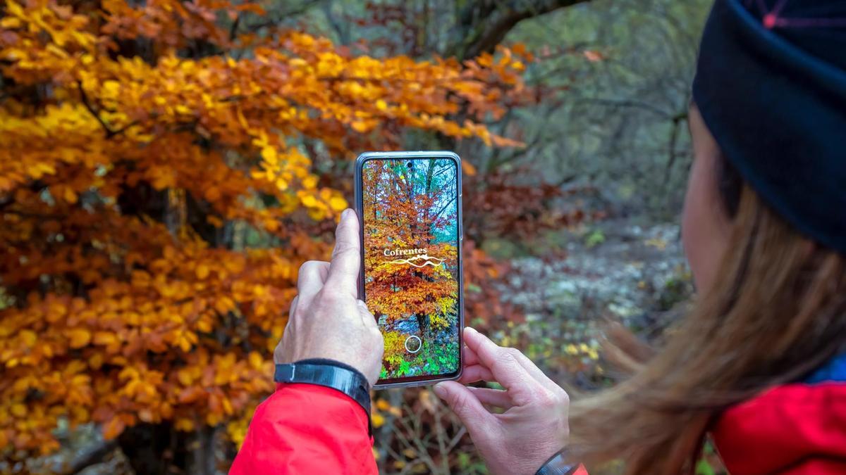 Digiltea propone soluciones digitales para mejorar la experiencia del visitante en destinos rurales.