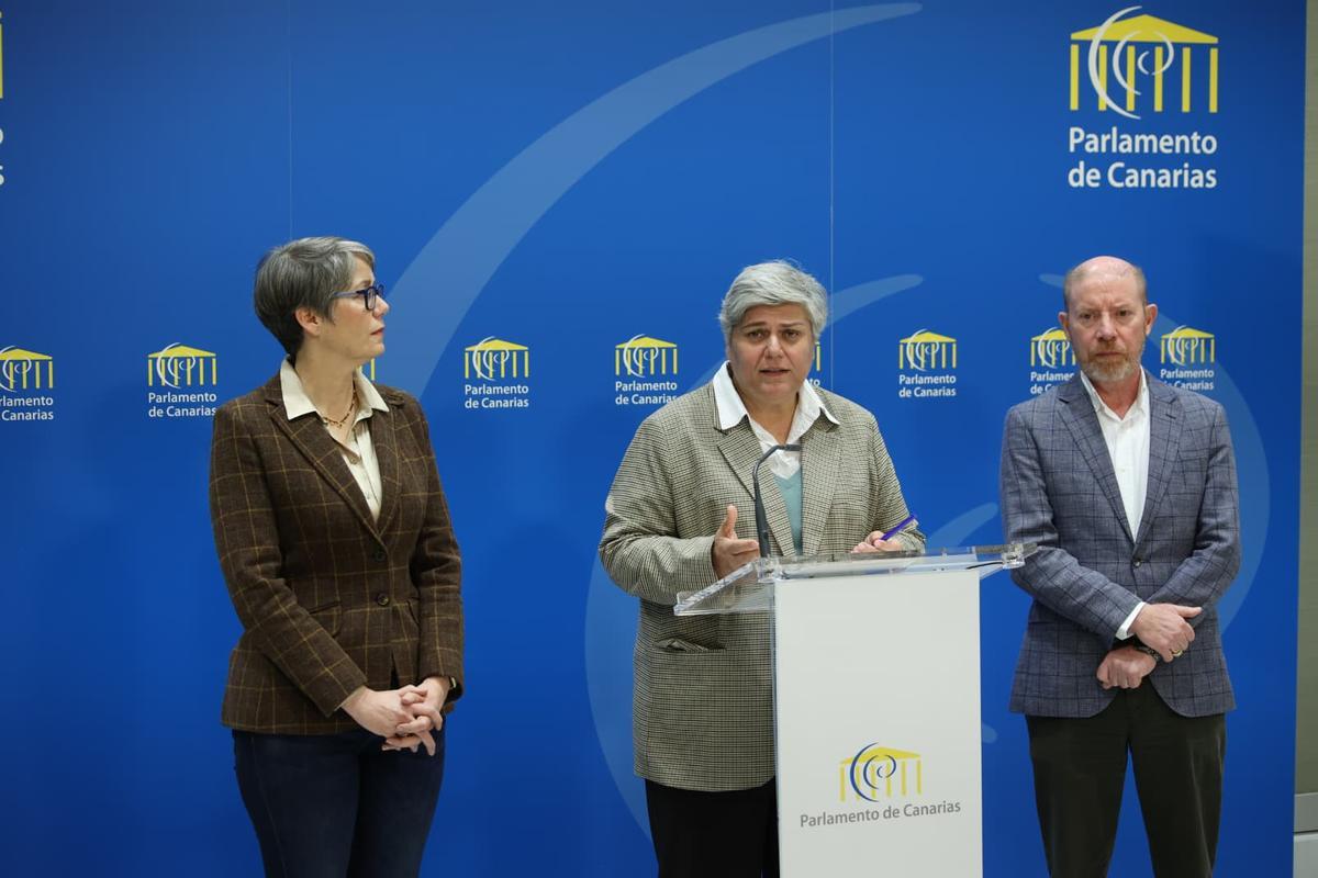 La comisionada de Transparencia, Noelia García (c), durante la rueda de prensa en el Parlamento.