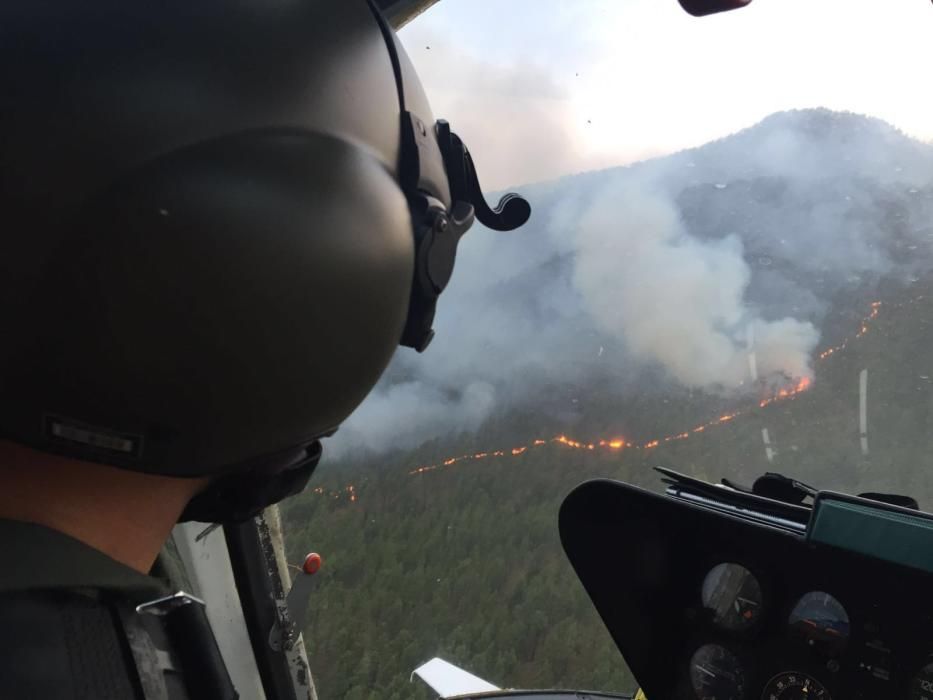 Incendio forestal en la zona de Montaña de Jedey, en La Palma