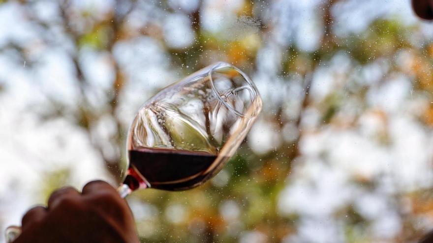 Canarian Wines Secure 57 Medals at International Wine and Spirits Competition