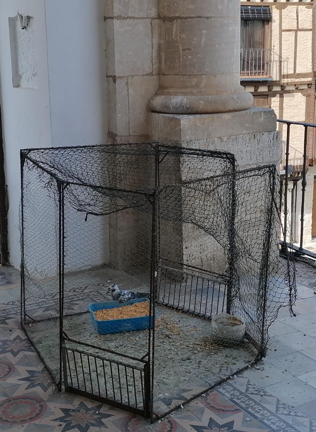 Una de las jaulas empleadas en Toro para la captura de palomas