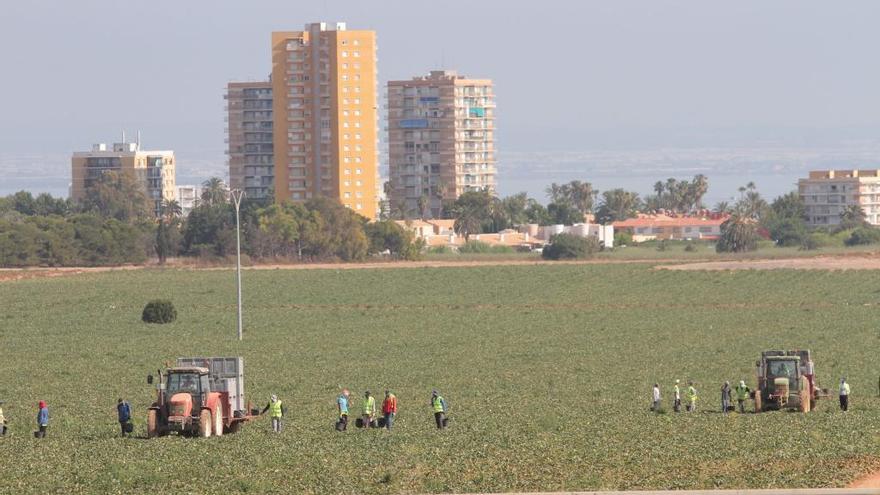 Los regadíos se acercan a la costa