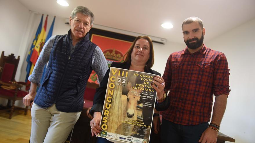 Pola de Siero recupera el domingo el Concurso de Ganado Equino de la Montaña, el mayor de Asturias y referente del norte de España
