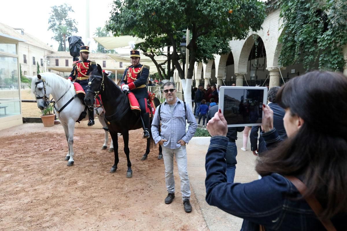 Jornadas de puertas abiertas en Caballerizas Reales