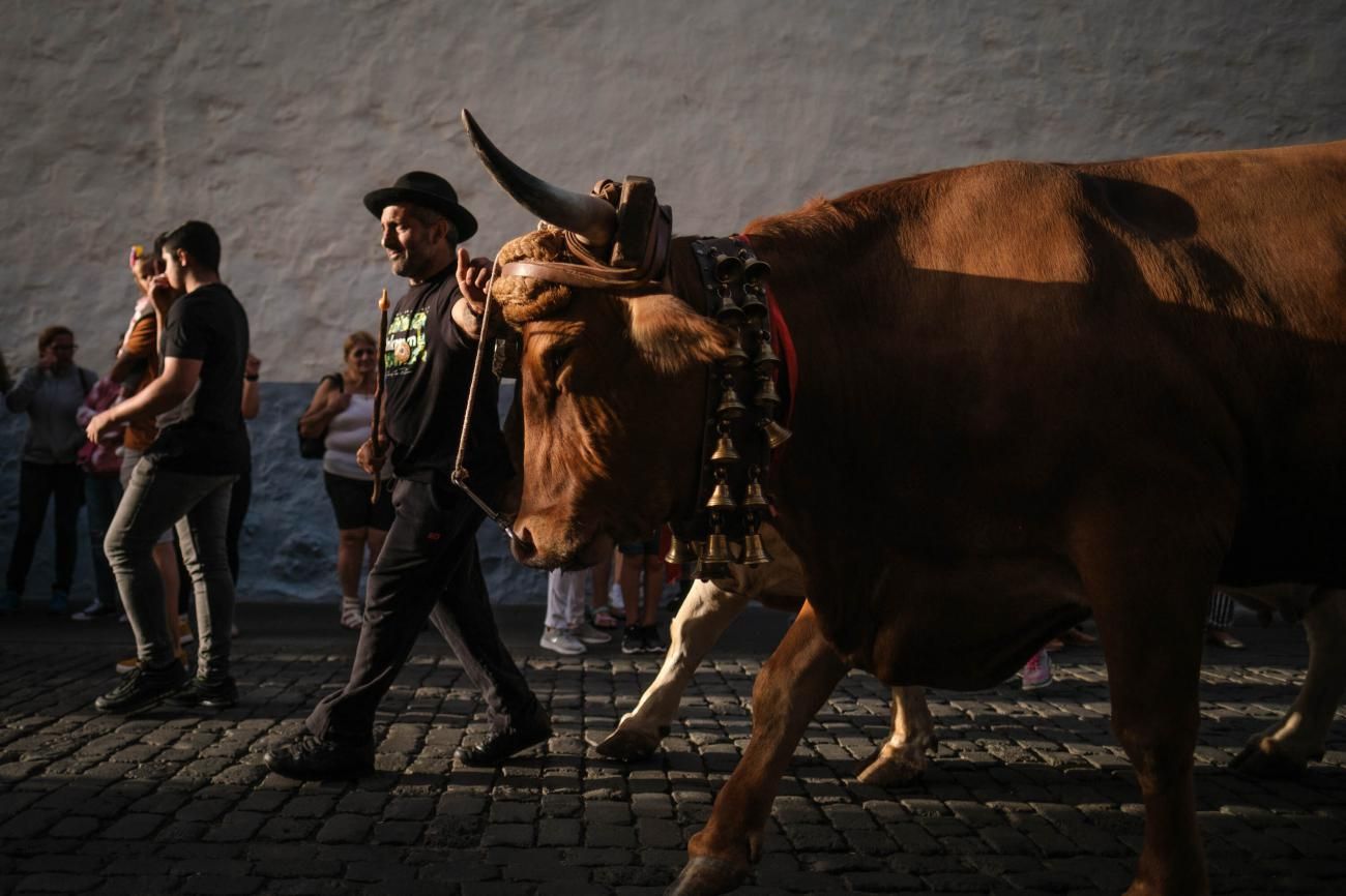 Noche de los Burros en La Laguna, julio de 2022