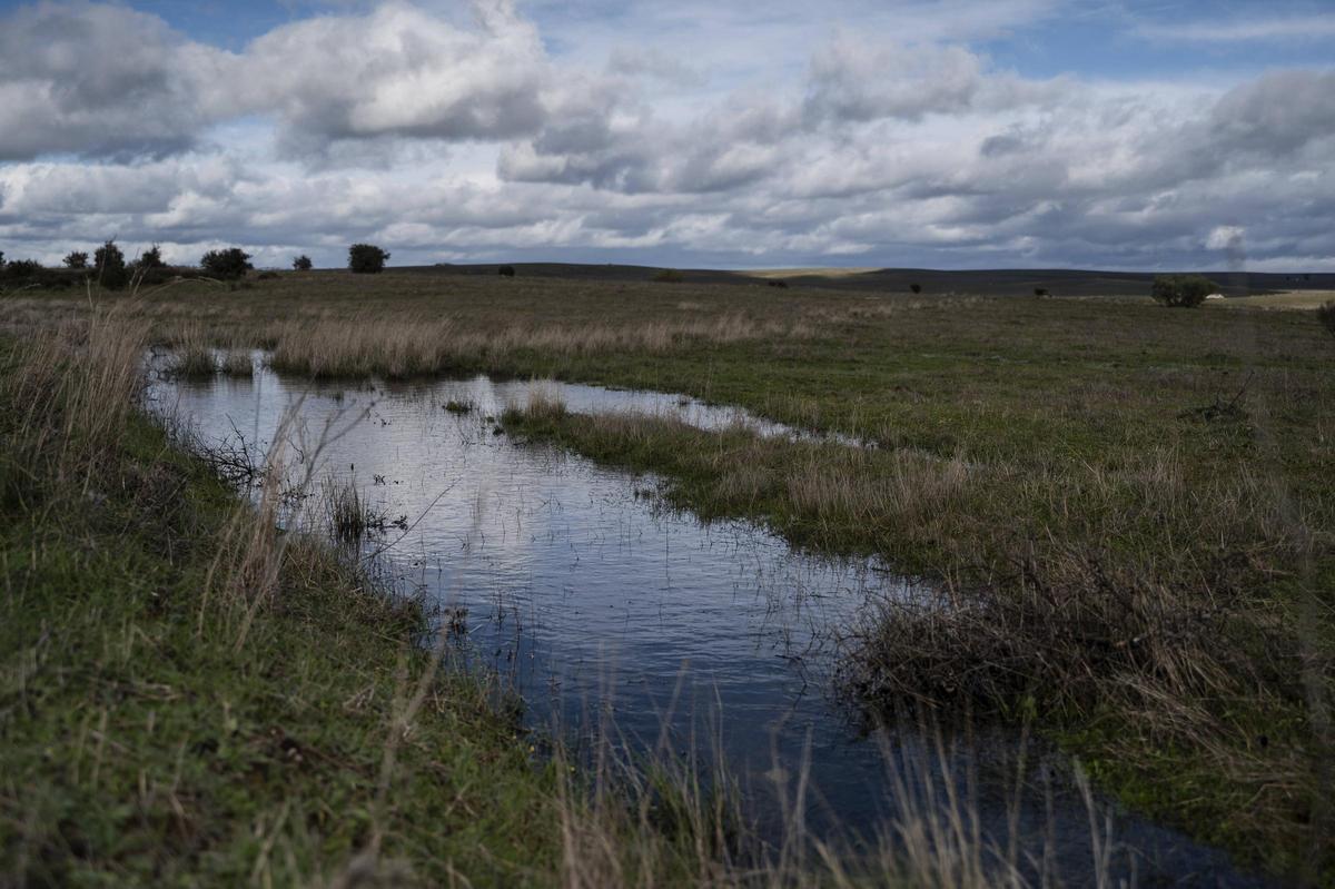 El Guadiloba asoma fuera de su pantano de Cáceres
