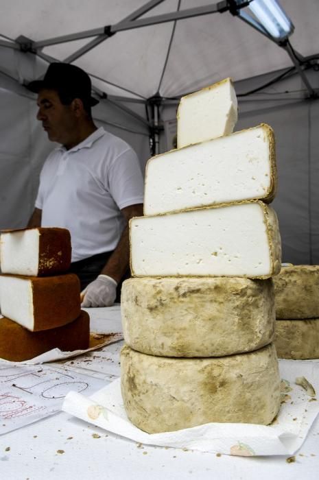 FIESTA DEL QUESO EN SANTA MARIA DE GUIA