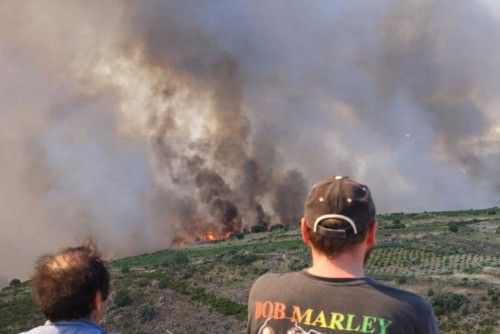 Un incendio arrasa parte de los Arribes en Villalcampo