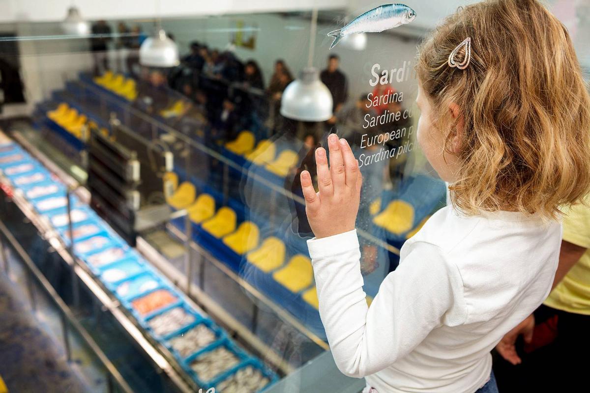 En el Espai del Peix de Palamós se pueden aprender todos los entresijos de la vida marinera