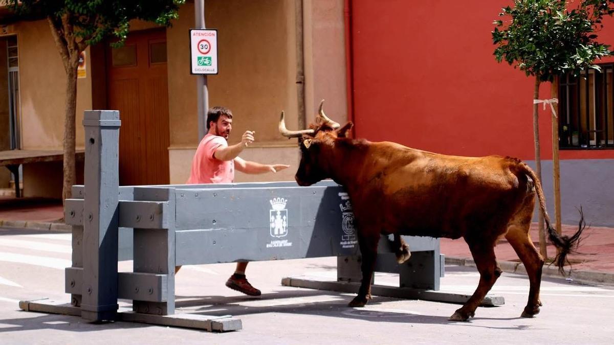 Imagen de archivo de festejos taurinos en Alcalà de Xivert