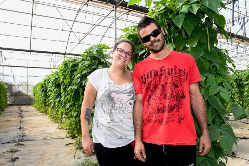 Dos jóvenes agricultores que cultivan, procesan y