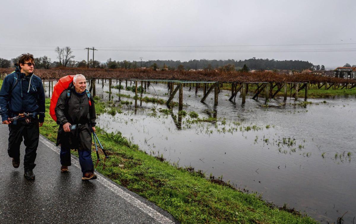 Dos peregrinos caminan por la carretera esta semana al encontrarse anegada la Variante en Cabanelas. | IÑAKI ABELLA