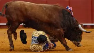 Morante, herido por el cuarto toro de la corrida de este lunes en Sevilla