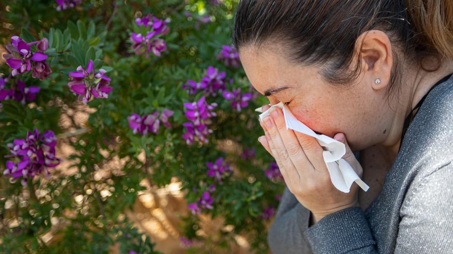 Los alérgicos al polen empeoran con el calentamiento global y la contaminación