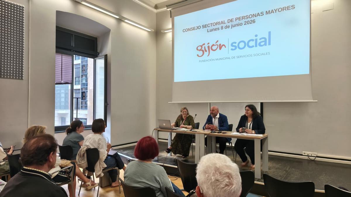 Guzmán Pendás, en el centro de la mesa, durante la reunión de esta mañana del Consejo sectorial de Personas Mayores.