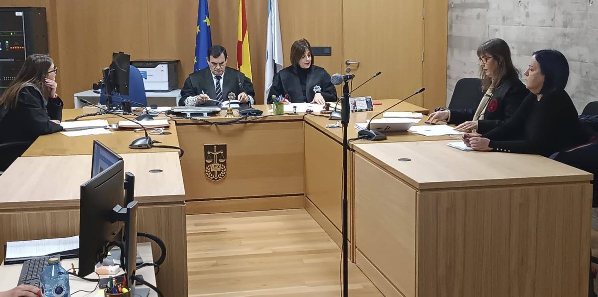 Un momento del juicio celebrado el pasado mes de enero en el Social 1.  | FDV