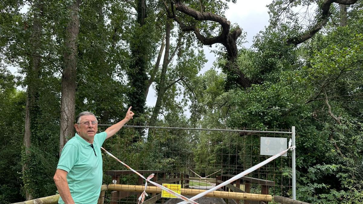 VÍDEO: Vecinos del Parque Fluvial del Piles reclaman mejoras en el río, los puentes y las zonas para perros: “Hay árboles caídos desde hace más de dos años”