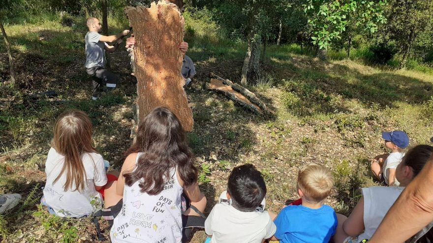 Darnius entra de ple al segon bloc  de la Capitalitat cultural del suro