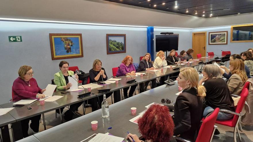 La vicepresidenta Gimena Llamedo, tercera por la izquierda, presidiendo ayer la reunión del Consejo Asturiano de la Mujer, con la directora general de Igualdad, Vanesa Fernández, a su derecha. | L