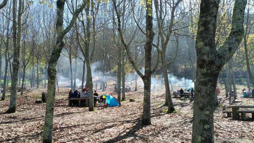 Varios grupos de personas hacen una barbacoa entre árboles.