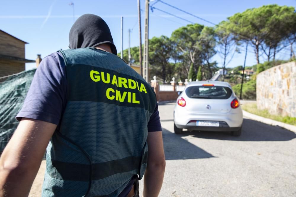 Dos detinguts i 1.500 plantes de marihuana descobertes en més escorcolls contra el clan de la Selva i el Gironès