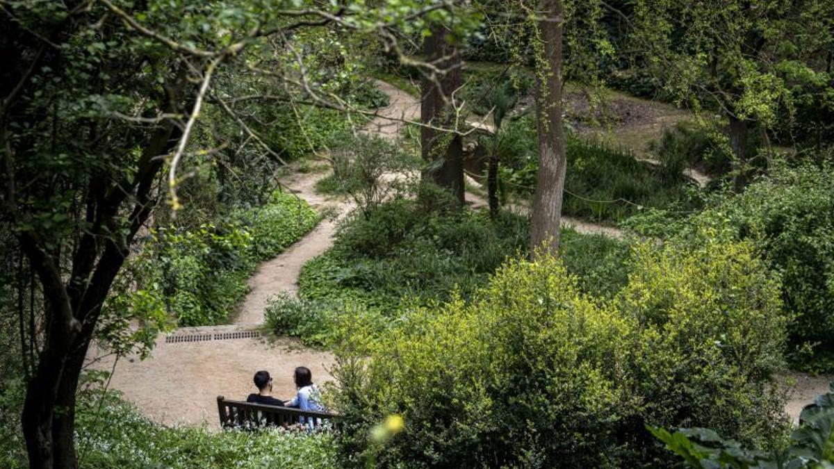 Un jardín botánico.