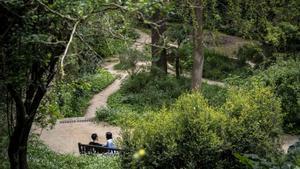 El Sot de lEstany, lugar privilegiado de Barcelona y parte del Jardín Botánico Histórico en el que se encuentran los cuatro árboles distinguidos por la Generalitat.