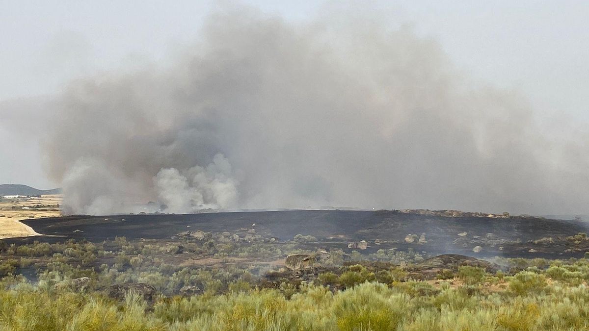 Declarado el nivel 1 de peligrosidad por un incendio en Malpartida de Cáceres.