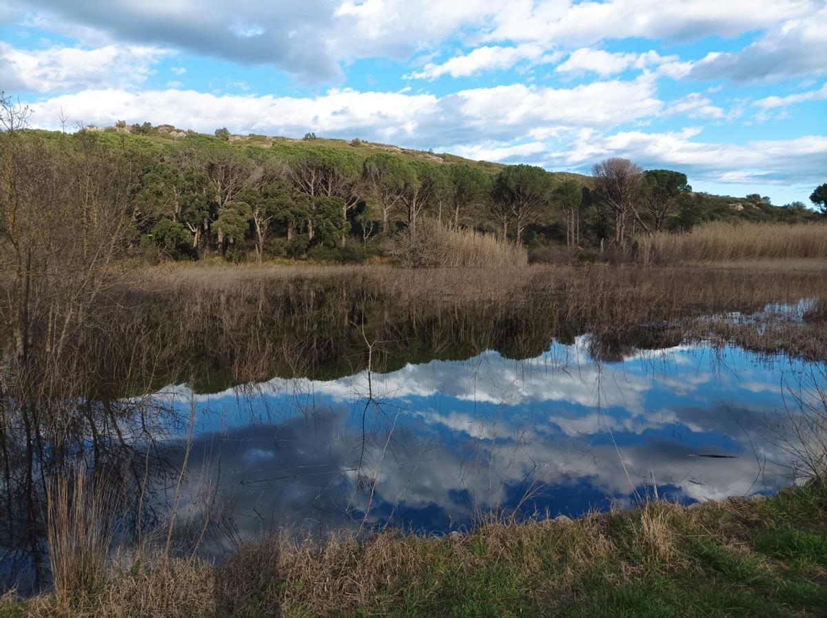 La Cardonera és un símbol del futur parc natural de l'Albera