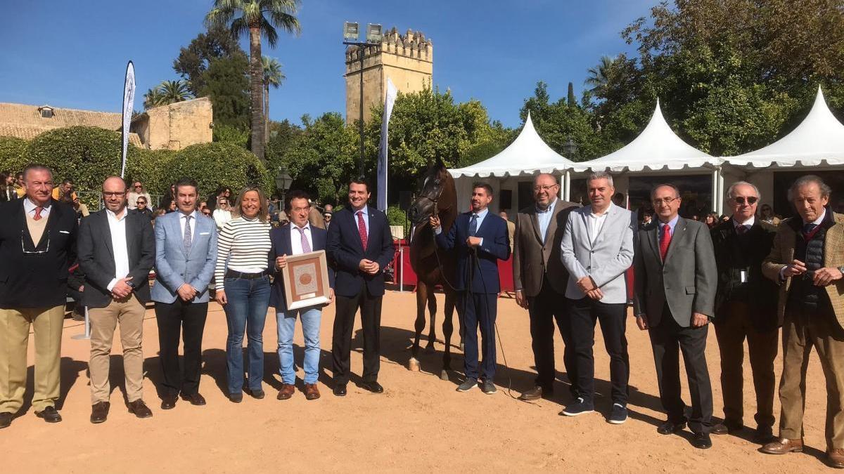El Campeonato Nacional de Caballos Árabes seguirá celebrándose en Córdoba dos años más