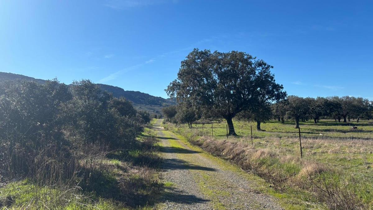 Galería | La dehesa de Herrera del Duque ya es un sendero azul