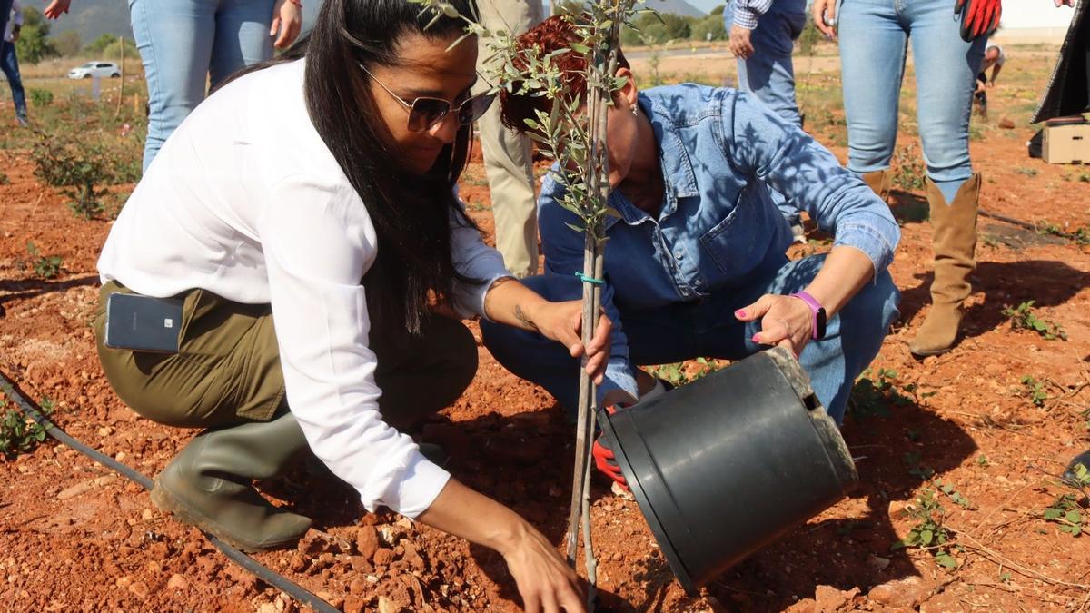 Empleadas de Globeenergy plantando un árbol.