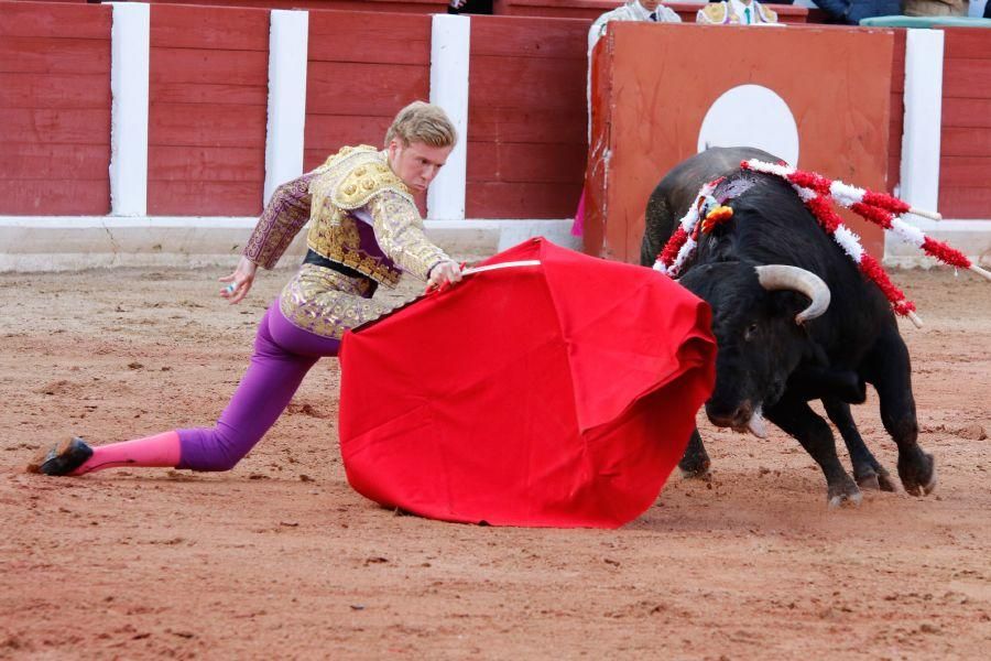 Tarde de toros en Zamora