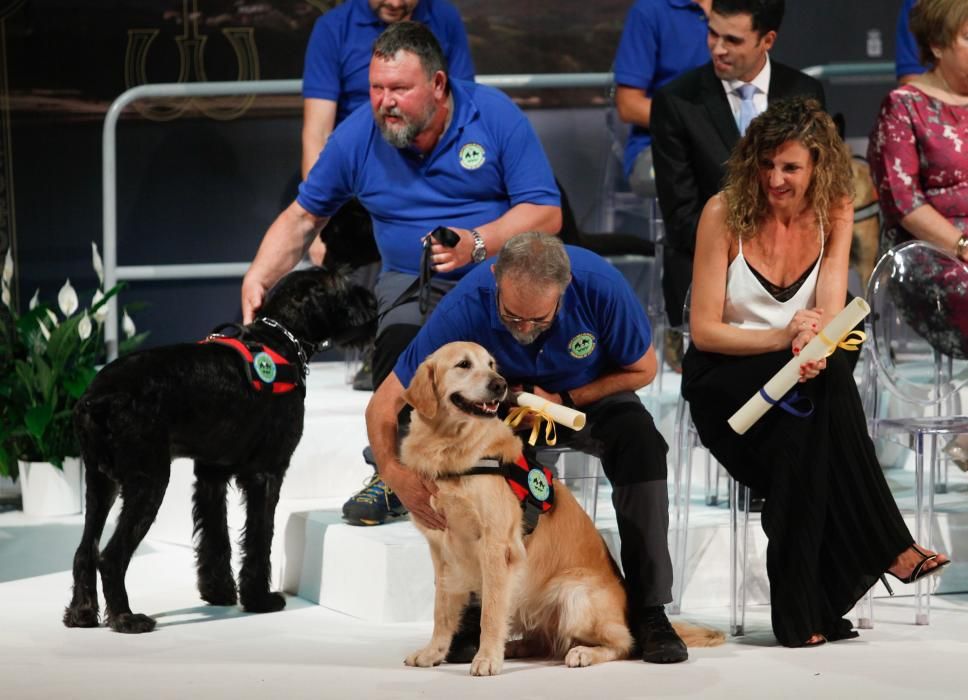 Acto de entrega de las medallas de Asturias