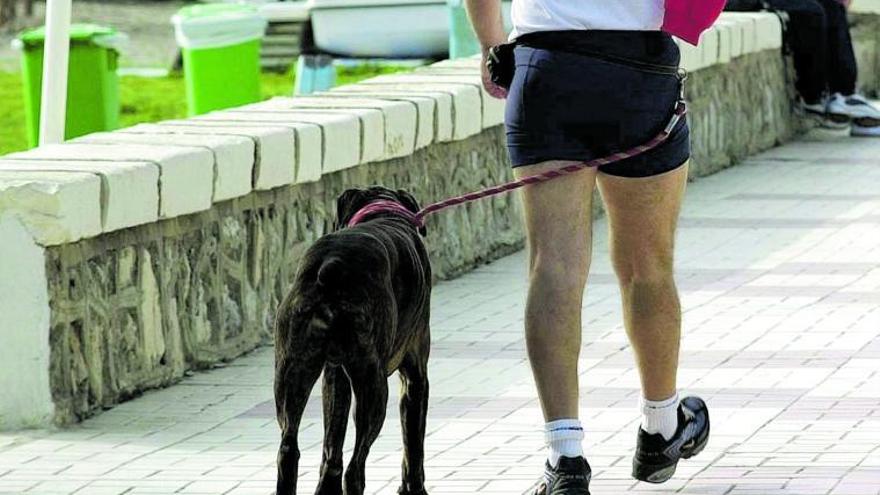 Un dueño pasea a su perro. | L.O.