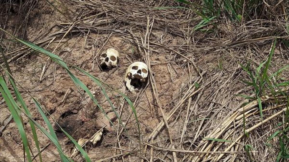 Fosas 8Cráneos humanos hallados en la provincia de Kasai.