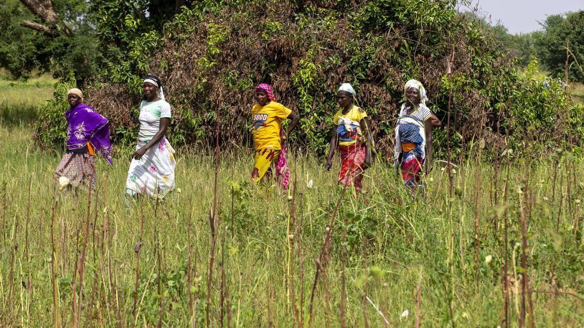 Varias mujeres en un campo en Ouahigouya, Burkina Faso