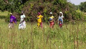 Varias mujeres en un campo en Ouahigouya, Burkina Faso.