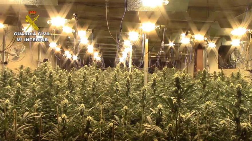 La Guardia Civil libera a 21 personas esclavizadas para cultivar marihuana