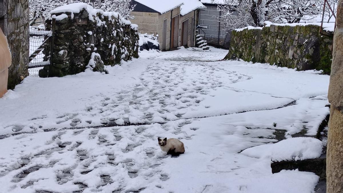 Primeras nevadas en Sanabria