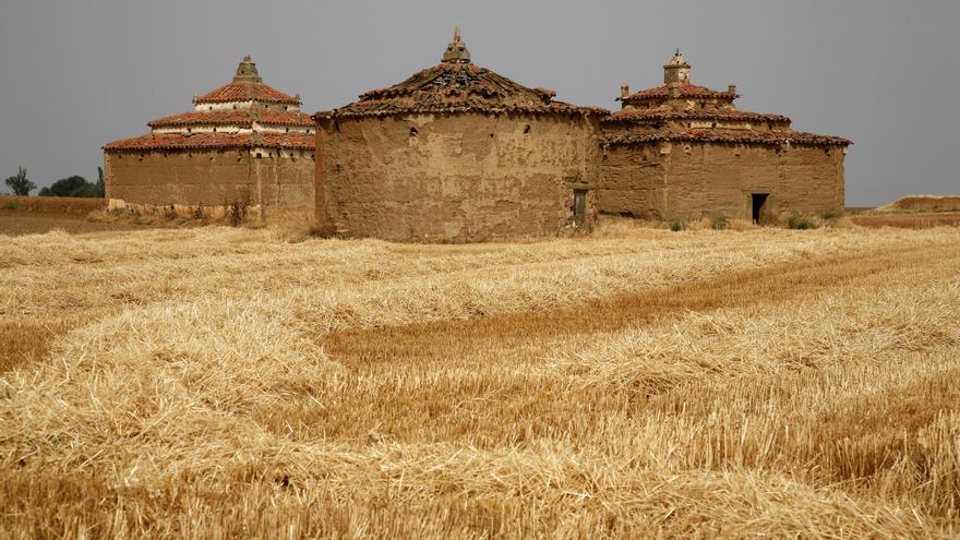 Villafáfila acoge una jornada formativa sobre la cría y venta de pichones