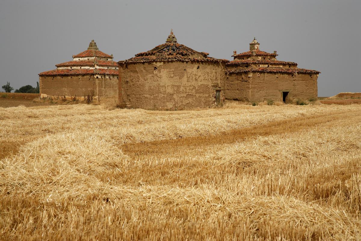 PALOMARES PALOMAR DE VILLRRIN DE CAMPOS
