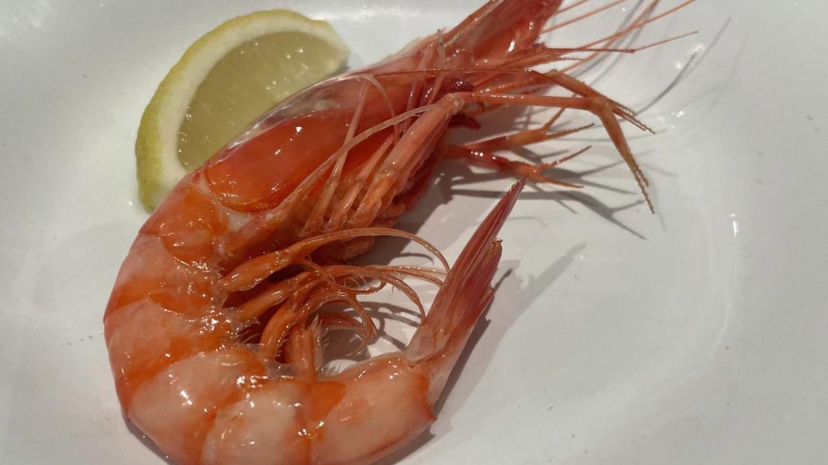 Gamba cocida en agua de mar