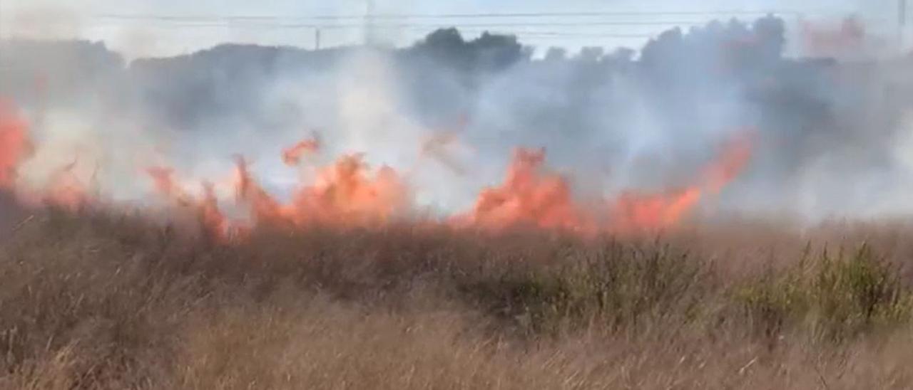 Fuerte incendio de matorrales en Alicante