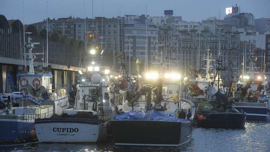 Flota pesquera amarrada en el puerto de A Coruña.